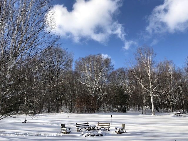 100 Clear Spring Ln, Fleischmanns, NY 12406 - view of property's community