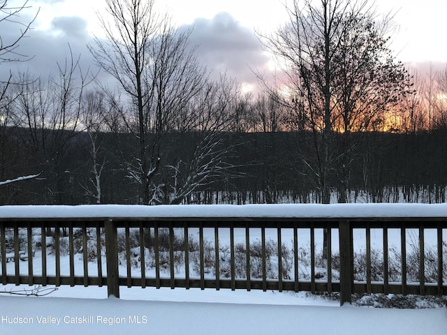 100 Clear Spring Ln, Fleischmanns, NY 12406 - view of snow covered deck