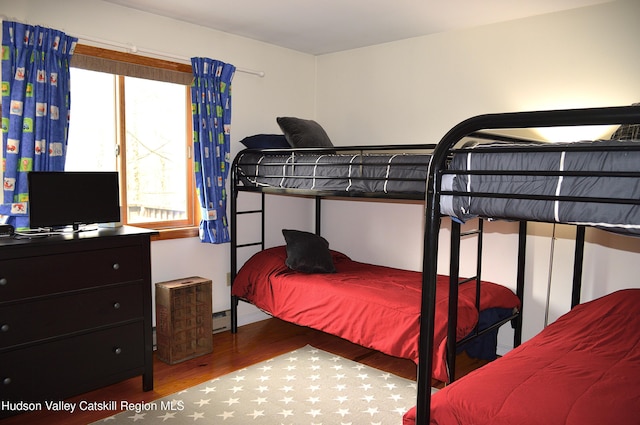 100 Clear Spring Ln, Fleischmanns, NY 12406 - bedroom featuring wood finished floors and multiple windows