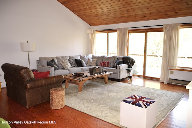 100 Clear Spring Ln, Fleischmanns, NY 12406 - living room with lofted ceiling, wood finished floors, baseboard heating, and wood ceiling