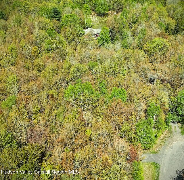 100 Clear Spring Ln, Fleischmanns, NY 12406 - aerial view