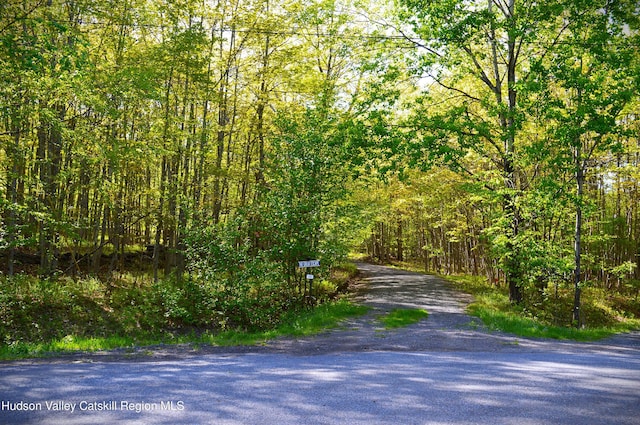 100 Clear Spring Ln, Fleischmanns, NY 12406 - view of road with a wooded view