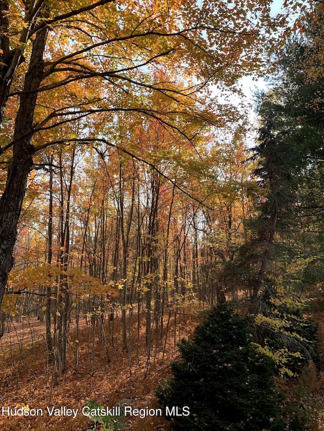 100 Clear Spring Ln, Fleischmanns, NY 12406 - view of wooded area