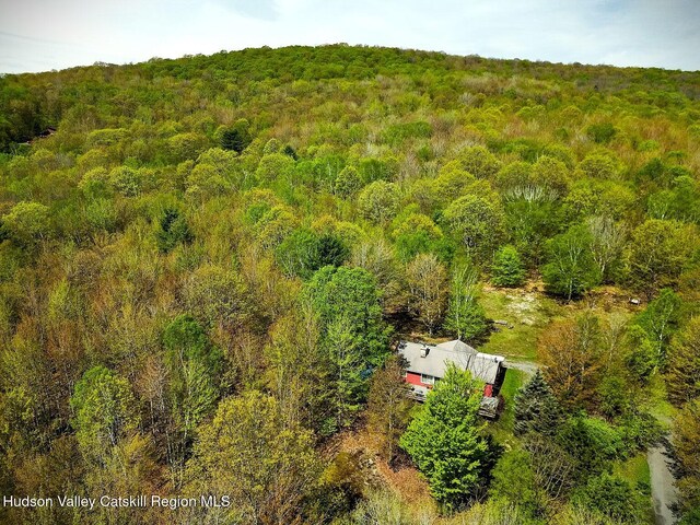 100 Clear Spring Ln, Fleischmanns, NY 12406 - aerial view of property and surrounding area featuring a forest