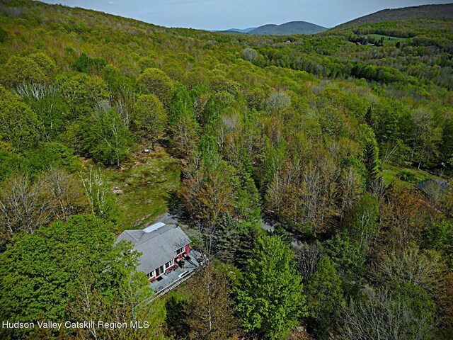 100 Clear Spring Ln, Fleischmanns, NY 12406 - aerial view of property and surrounding area featuring a heavily wooded area and mountains