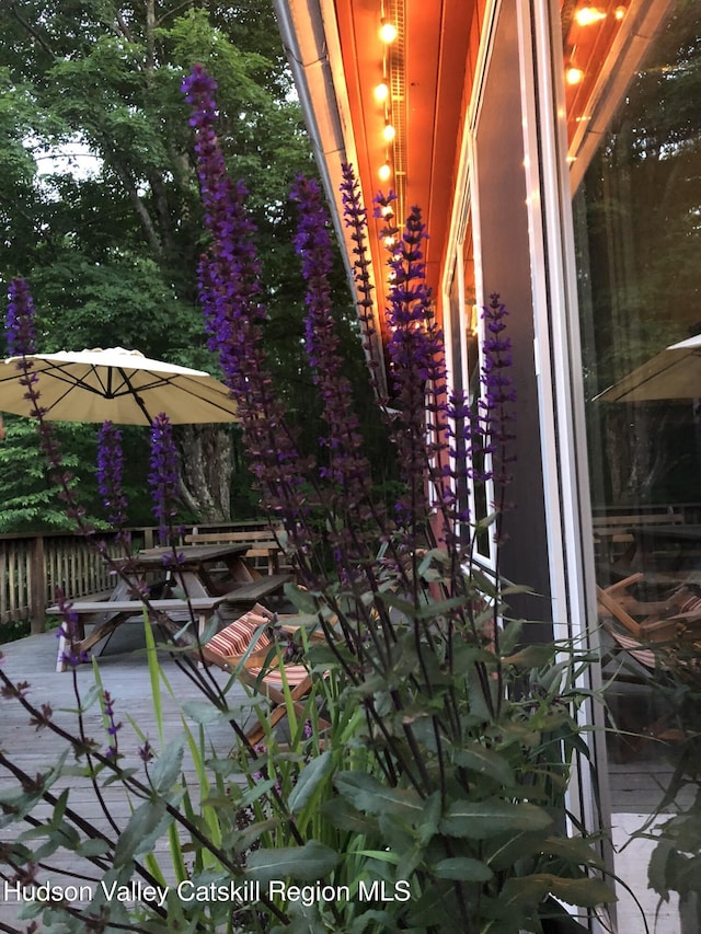 100 Clear Spring Ln, Fleischmanns, NY 12406 - balcony with outdoor dining space