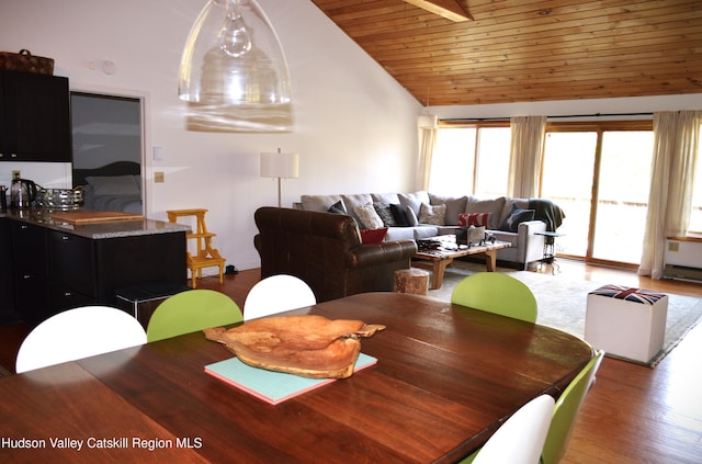 100 Clear Spring Ln, Fleischmanns, NY 12406 - dining space featuring lofted ceiling, wood ceiling, and wood finished floors