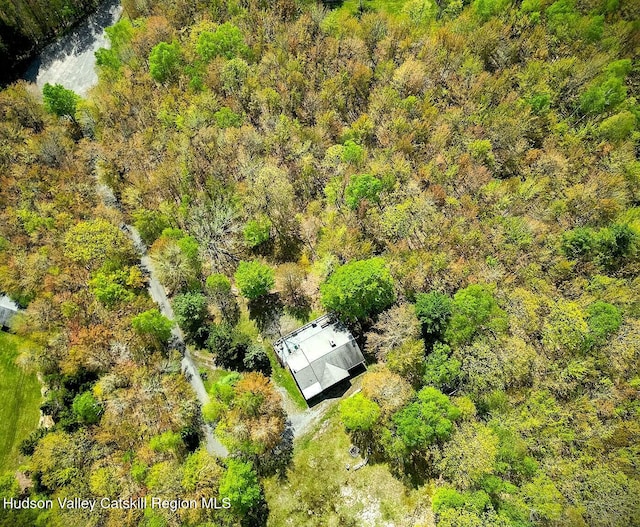 100 Clear Spring Ln, Fleischmanns, NY 12406 - view of subject property