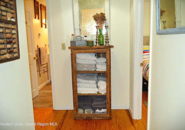 100 Clear Spring Ln, Fleischmanns, NY 12406 - hallway with wood finished floors and baseboards
