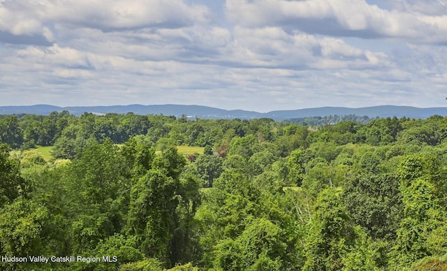143 Bedell Rd, Poughkeepsie, NY 12603 - photo 4