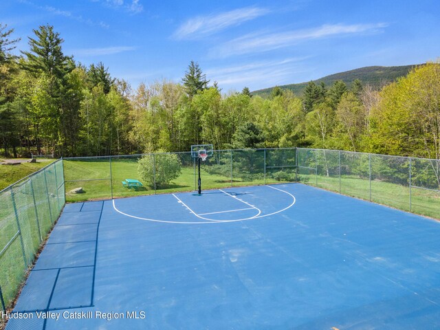 11 Quads Way, Windham, NY 12496 - view of basketball court with community basketball court