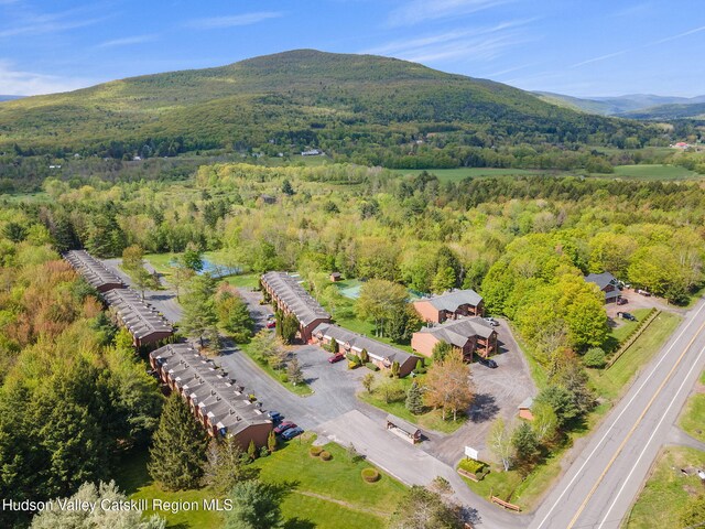 11 Quads Way, Windham, NY 12496 - view of property location featuring a forest and a mountainous background
