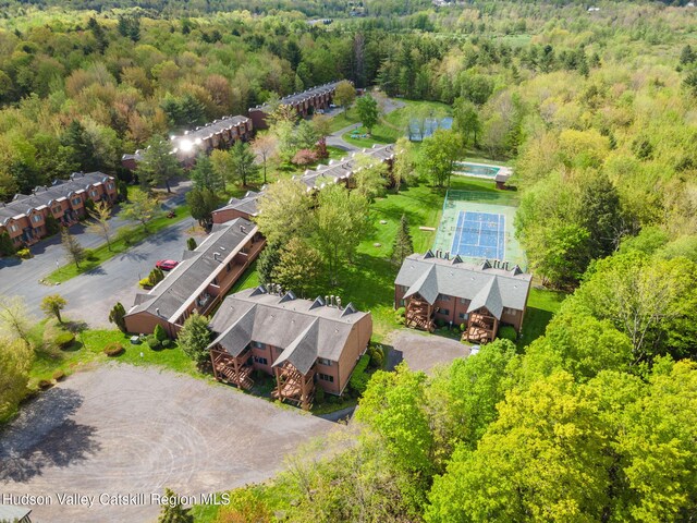 11 Quads Way, Windham, NY 12496 - bird's eye view of a forest