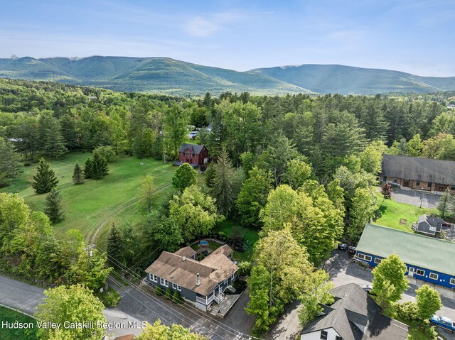 18 Rail Road Ave, Tannersville, NY 12485 - photo 45