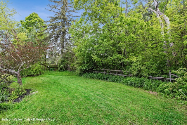 18 Rail Road Ave, Tannersville, NY 12485 - photo 43