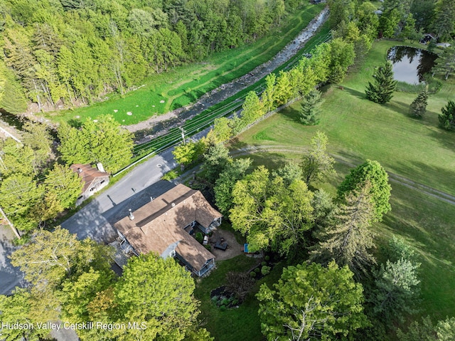 18 Rail Road Ave, Tannersville, NY 12485 - photo 49