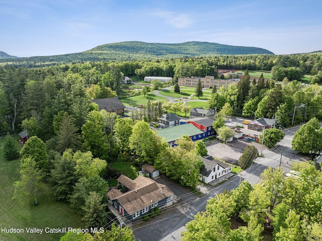 18 Rail Road Ave, Tannersville, NY 12485 - photo 44
