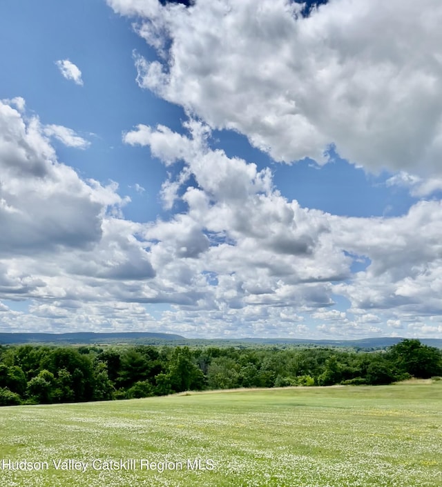 2193 State Route 385, Athens, NY 12015 - photo 72