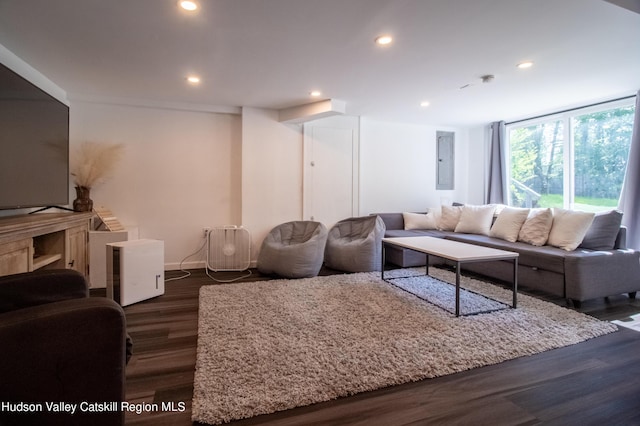 living room with dark hardwood / wood-style flooring and electric panel