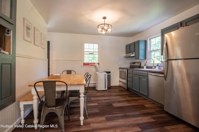 kitchen with appliances with stainless steel finishes, dark hardwood / wood-style floors, a wealth of natural light, and sink