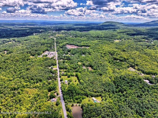 534 Rte 145, Cairo, NY 12413 - aerial view of a forest