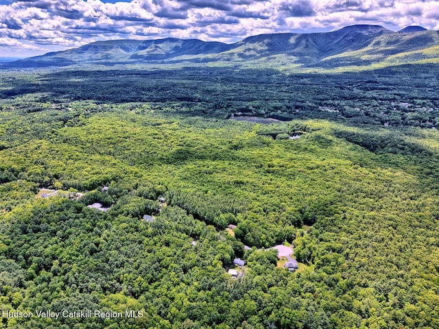 534 Rte 145, Cairo, NY 12413 - bird's eye view of a mountain backdrop and a forest