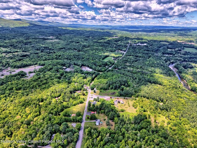 534 Rte 145, Cairo, NY 12413 - drone / aerial view of a heavily wooded area