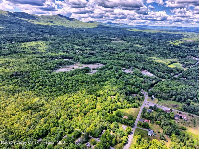 534 Rte 145, Cairo, NY 12413 - aerial view of a heavily wooded area and a mountainous background