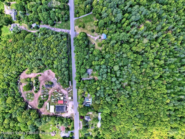 534 Rte 145, Cairo, NY 12413 - aerial view of property's location