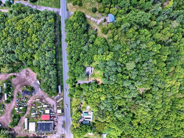 534 Rte 145, Cairo, NY 12413 - aerial view of property's location