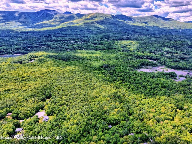 534 Rte 145, Cairo, NY 12413 - drone / aerial view of a forest and a mountain backdrop