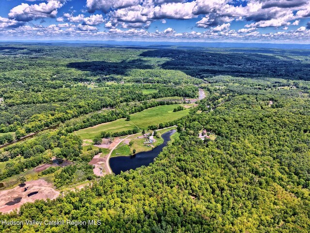 534 Rte 145, Cairo, NY 12413 - bird's eye view of a heavily wooded area and a large body of water