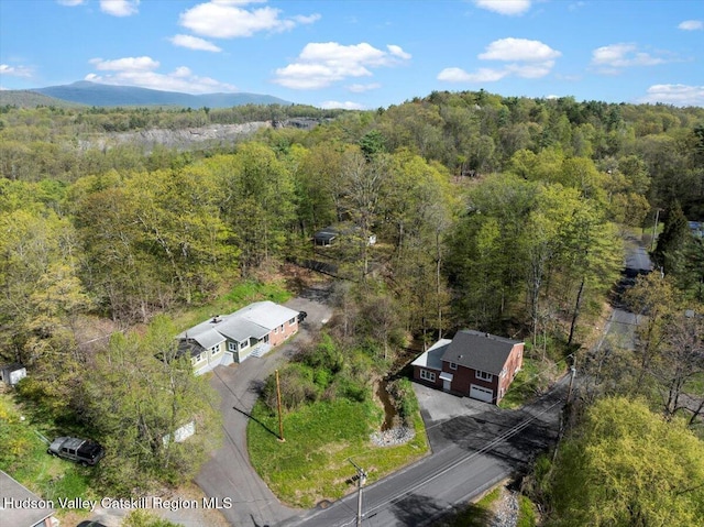 603-607 Old Stage Rd, Saugerties, NY 12477