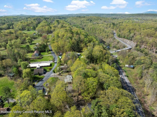 603-607 Old Stage Rd, Saugerties, NY 12477 - bird's eye view with a forest view