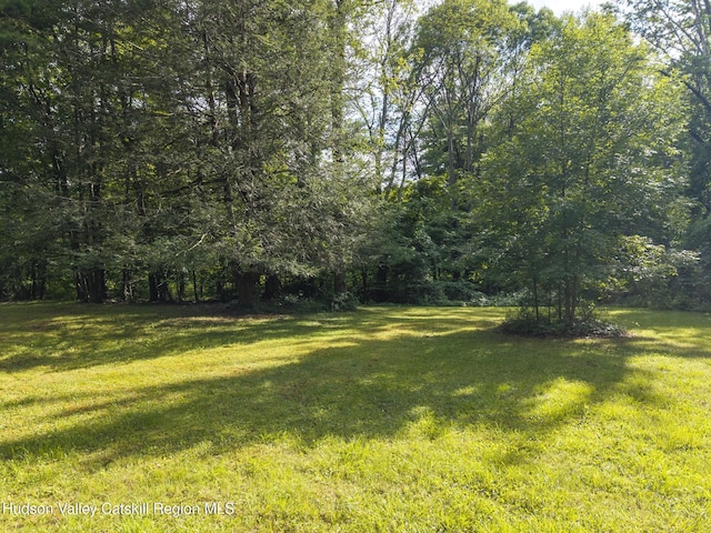 TBD Bostock Rd, Shokan, NY 12481