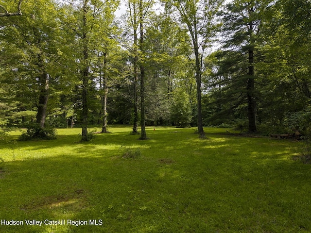 TBD Bostock Rd, Shokan, NY 12481