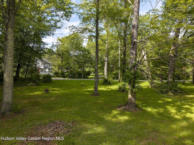 TBD Bostock Rd, Shokan, NY 12481