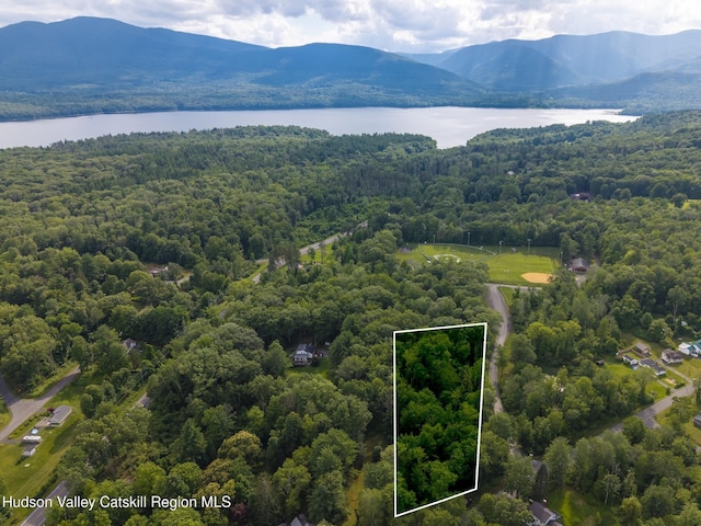 TBD Bostock Rd, Shokan, NY 12481