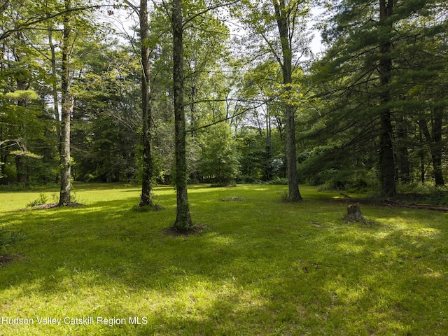 TBD Bostock Rd, Shokan, NY 12481
