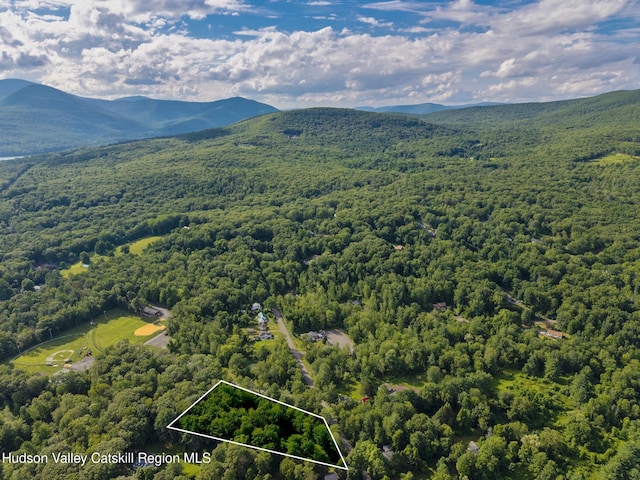 TBD Bostock Rd, Shokan, NY 12481
