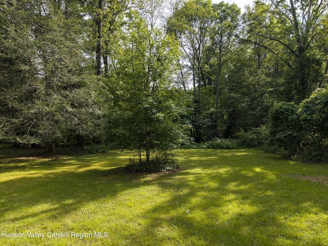 TBD Bostock Rd, Shokan, NY 12481