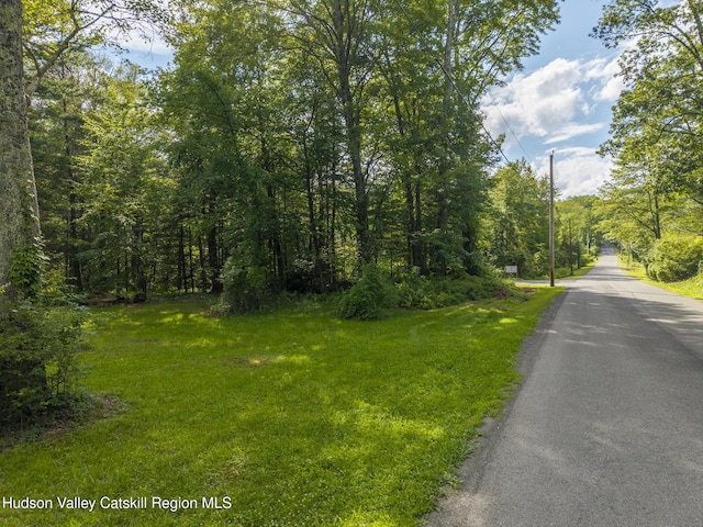 TBD Bostock Rd, Shokan, NY 12481