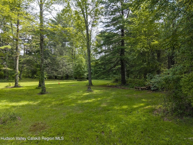 TBD Bostock Rd, Shokan, NY 12481