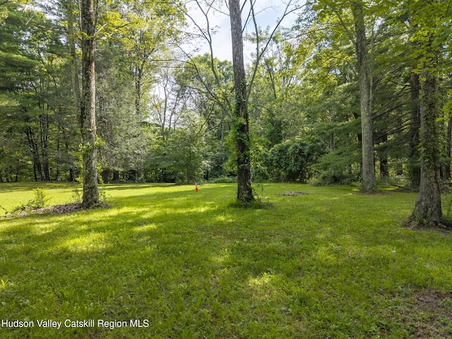 TBD Bostock Rd, Shokan, NY 12481
