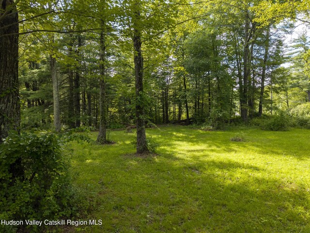 TBD Bostock Rd, Shokan, NY 12481