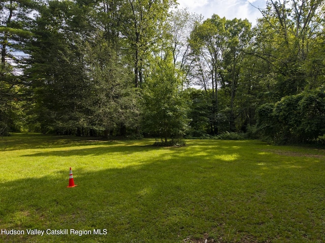 TBD Bostock Rd, Shokan, NY 12481