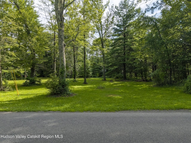 TBD Bostock Rd, Shokan, NY 12481