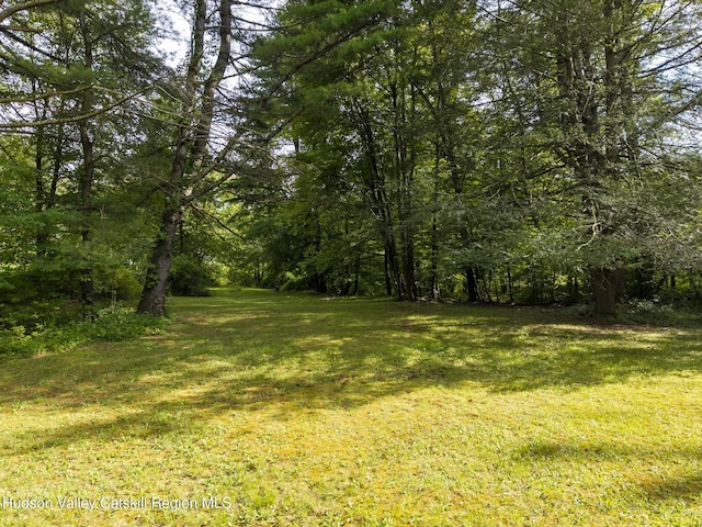 TBD Bostock Rd, Shokan, NY 12481
