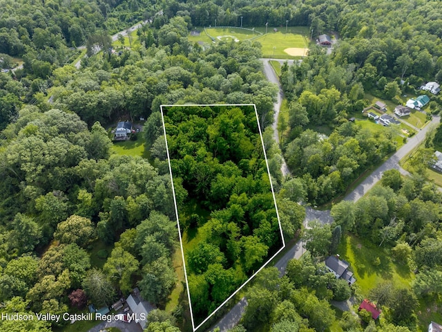 TBD Bostock Rd, Shokan, NY 12481