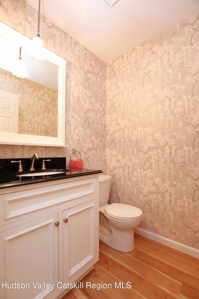 3 Carriage House Ct, Hyde Park, NY 12538 - bathroom featuring wood finished floors, wallpapered walls, toilet, vanity, and baseboards